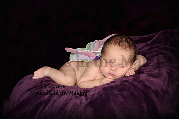 IMG_3162d3mim16ele