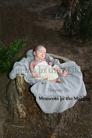 IMG_6873dppmim1