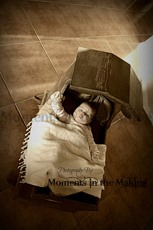 IMG_1302mim1