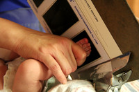 IMG_3713dpp