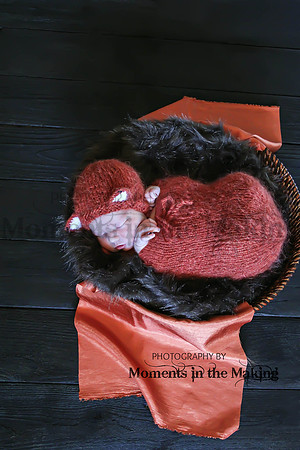 IMG_4367d5MIM1-577