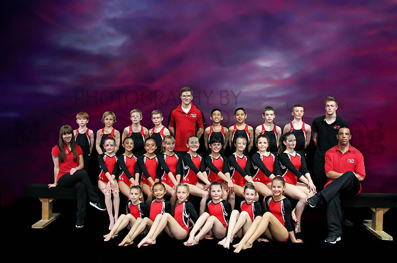 entire team ps 2d1MIM2-446