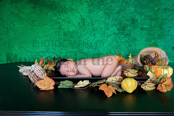 IMG_8801d4pmthis one-1065