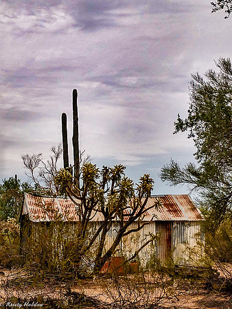 IMG_20180919_081829513_HDR (1)-393