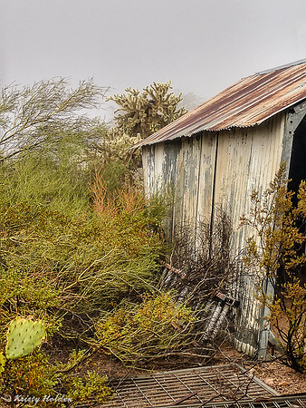 IMG_20180920_073417550_HDR-394
