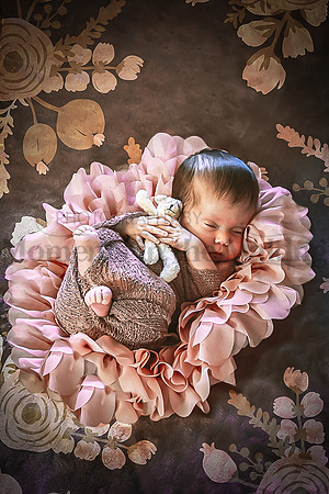 _MG_3307.JPGfordham newbornPM-99-158