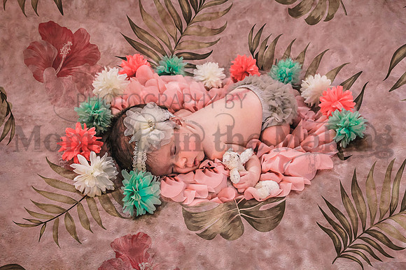 _MG_3425dpp.JPGpm orderpm-2132