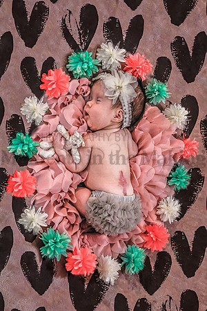 _MG_3440dpp.JPGpm order-2134